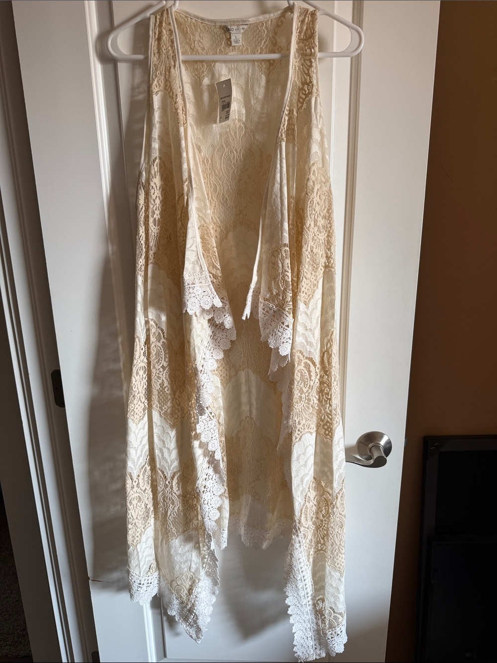 Cato Lace Overlay Vest in Cream